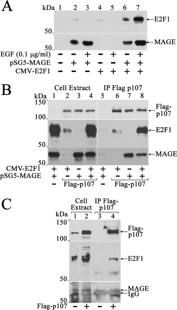 FIGURE 11.