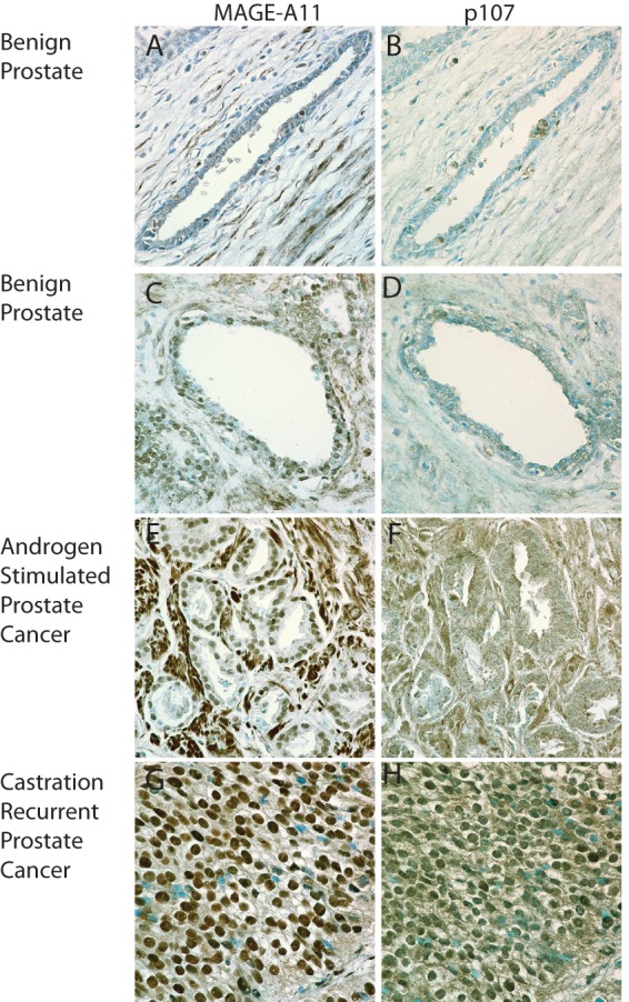 FIGURE 13.