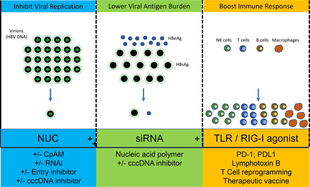 Figure 2: