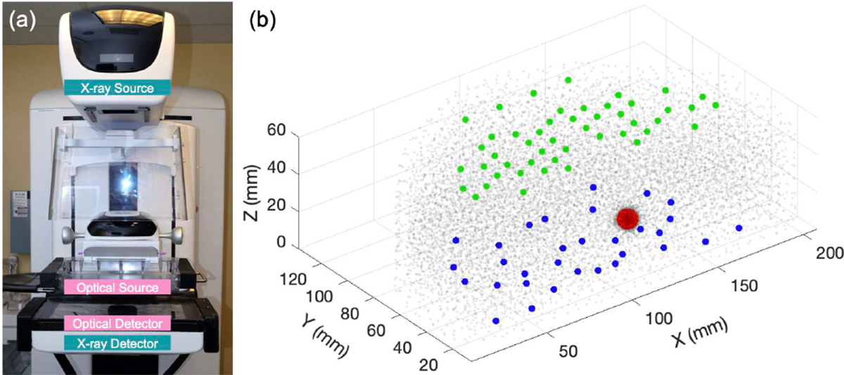 Fig. 1.