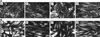 FIG. 11