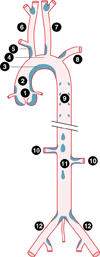 FIG. 1