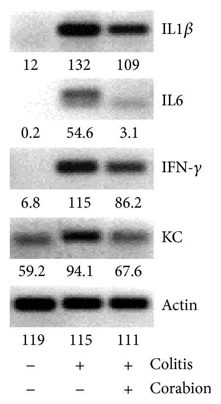 Figure 5