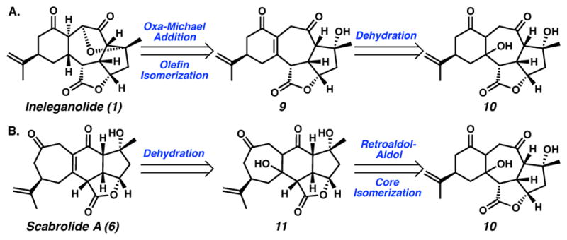 Scheme 3