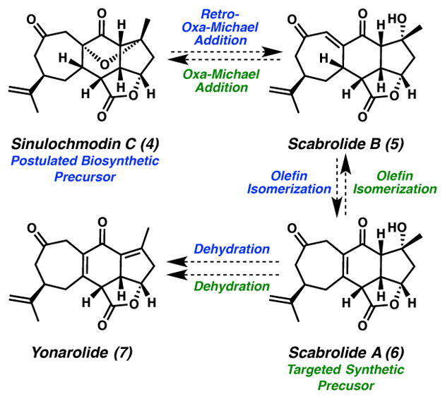 Scheme 2