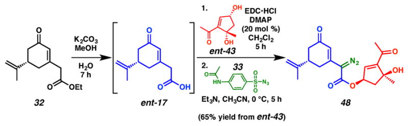 Scheme 16