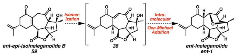 Scheme 25