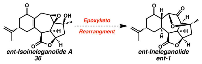 Scheme 19