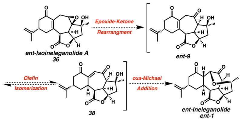 Scheme 11