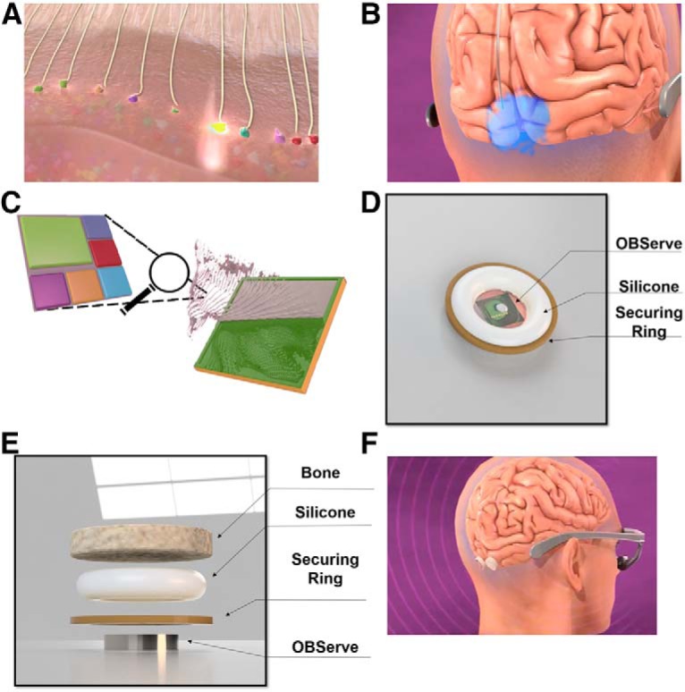 Figure 4.