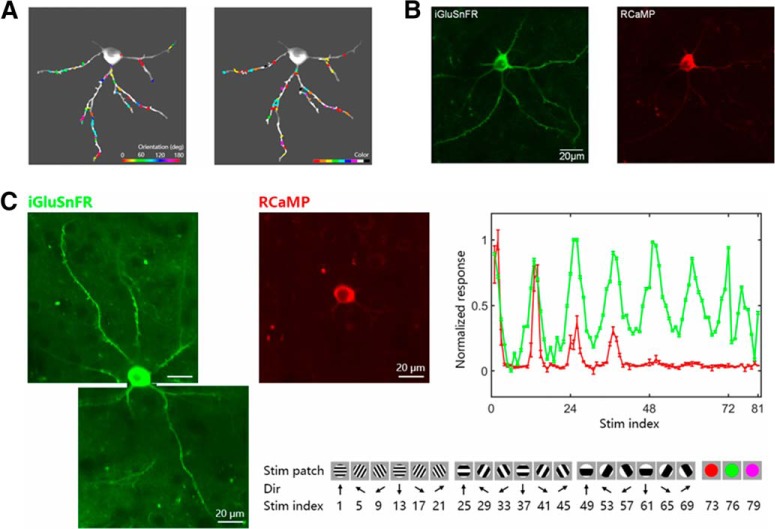 Figure 3.