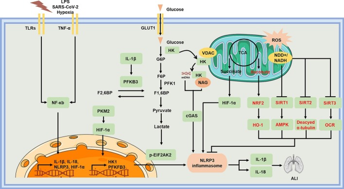 Fig. 2