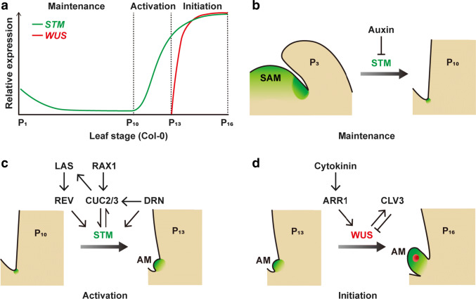 Fig. 1