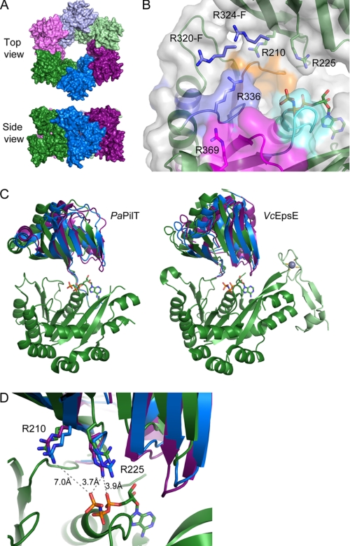 FIGURE 1.