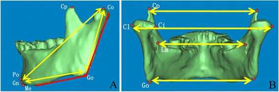 Fig. 5