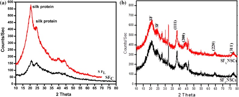 Fig. 6