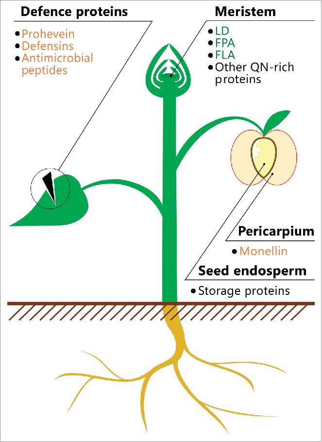 FIGURE 1.