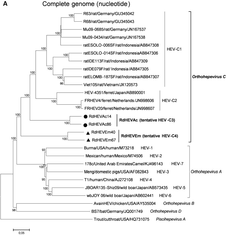 Fig. 3