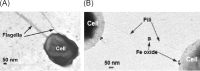 FIG 1