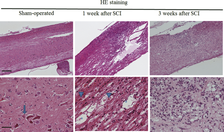 Fig. 4