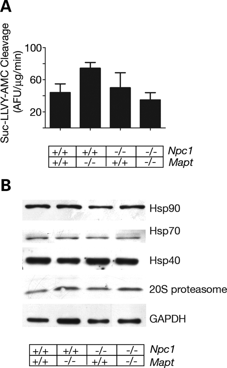 Figure 6.