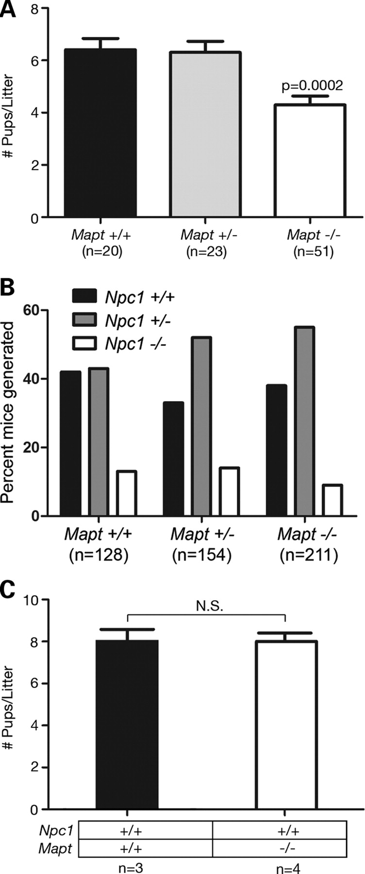 Figure 1.