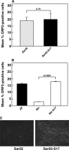 Fig 9