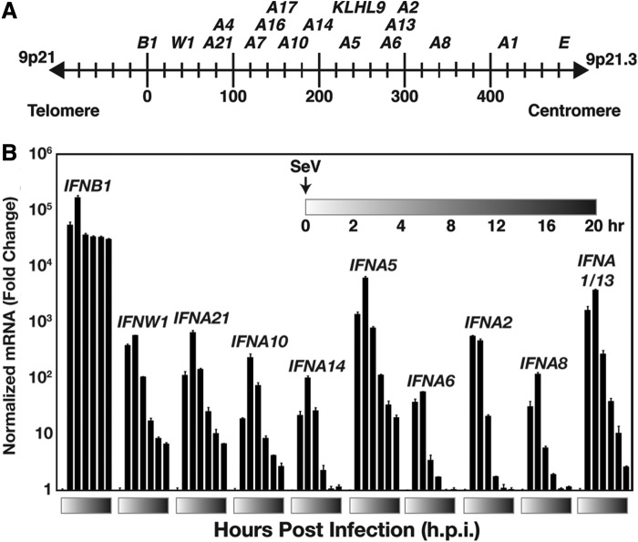 FIG. 1.