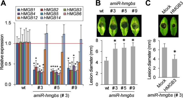 Fig 4