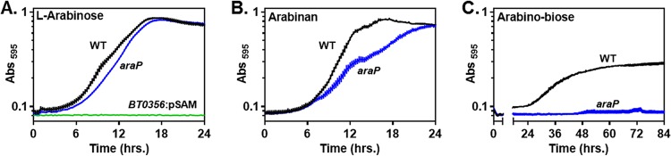 FIG 2 