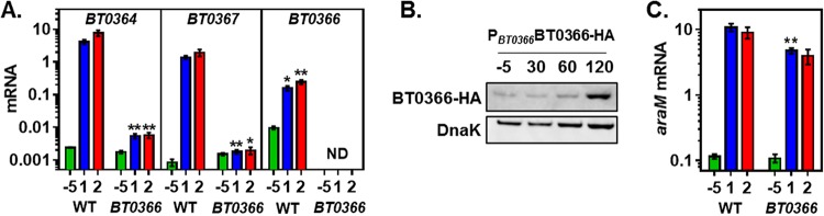 FIG 3 