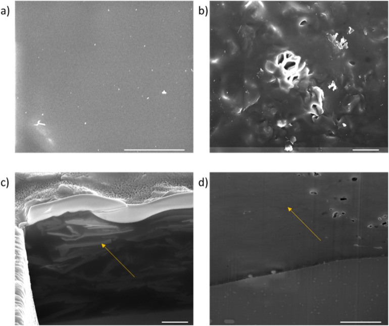 Fig. 11