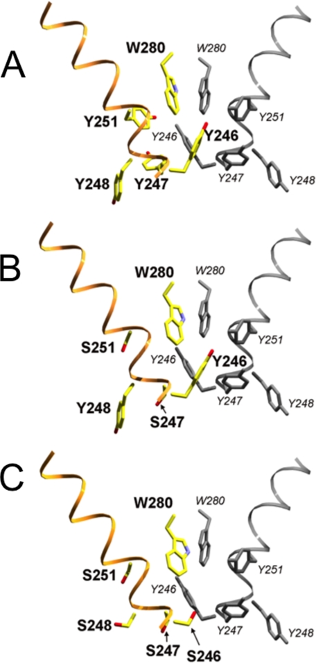 FIGURE 10.