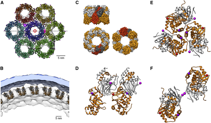 Figure 5