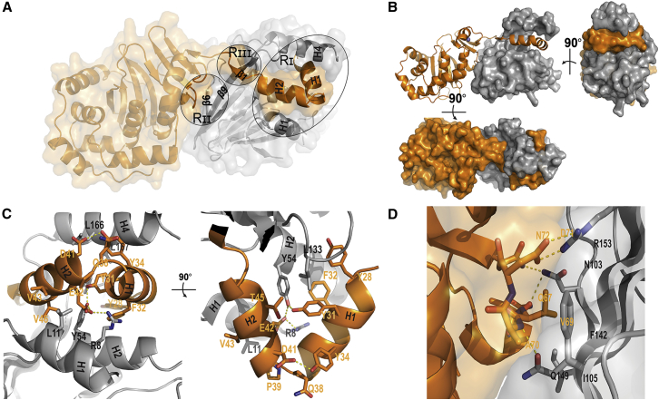 Figure 3