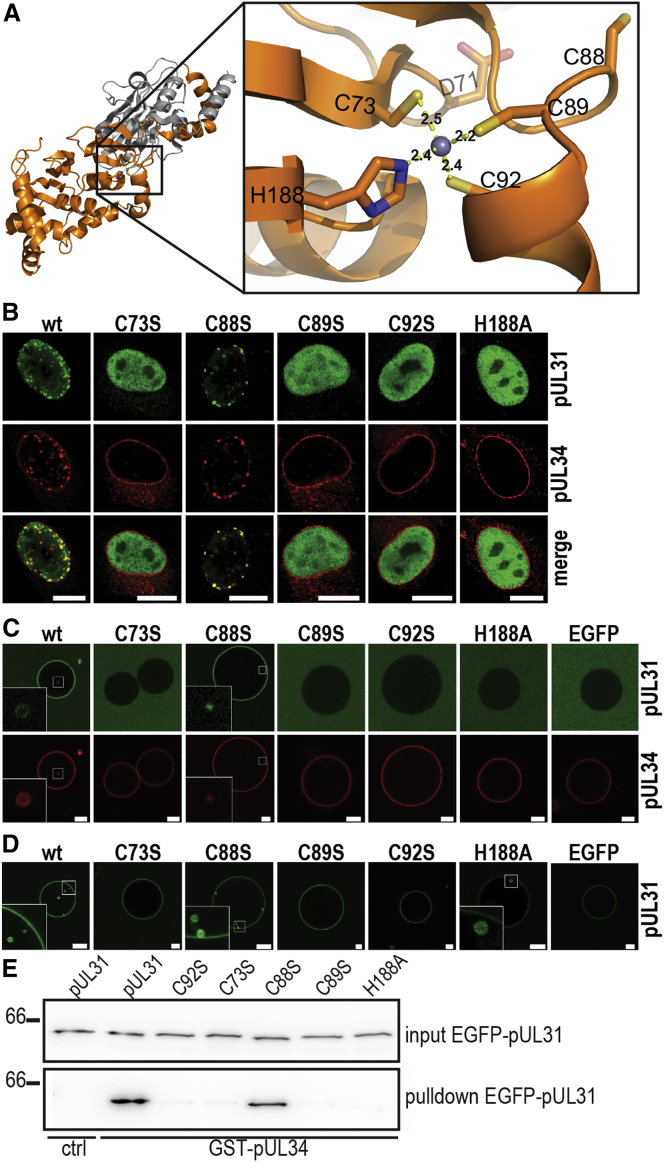 Figure 2