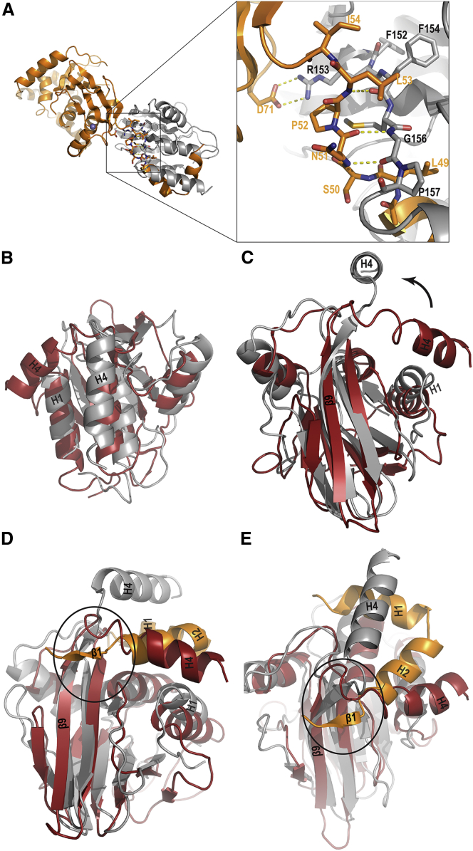 Figure 4