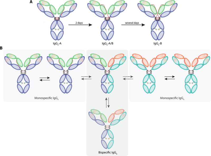 Figure 4: