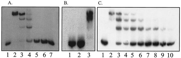 FIG. 5.