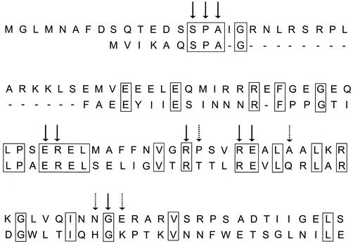 FIG. 7.