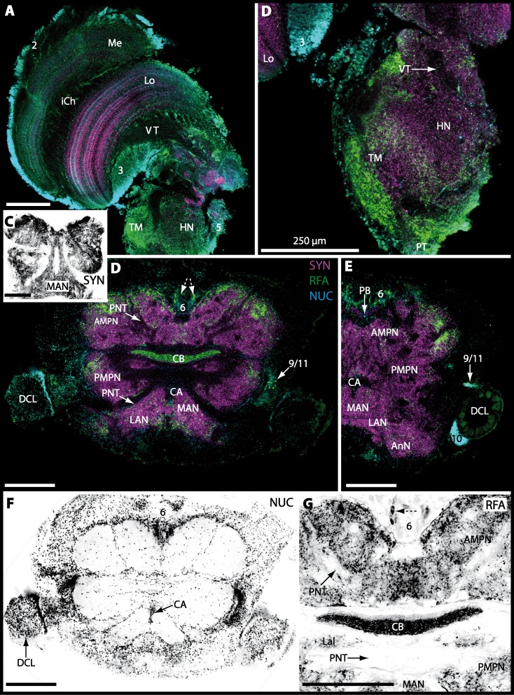 Figure 13