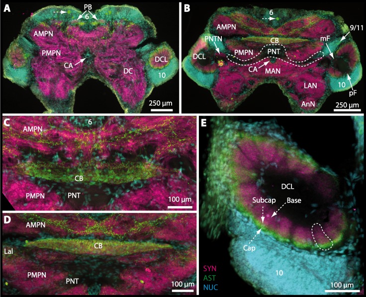 Figure 15