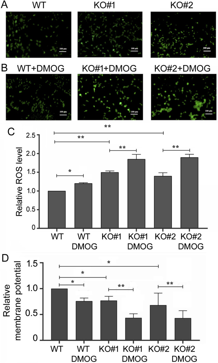 FIGURE 6