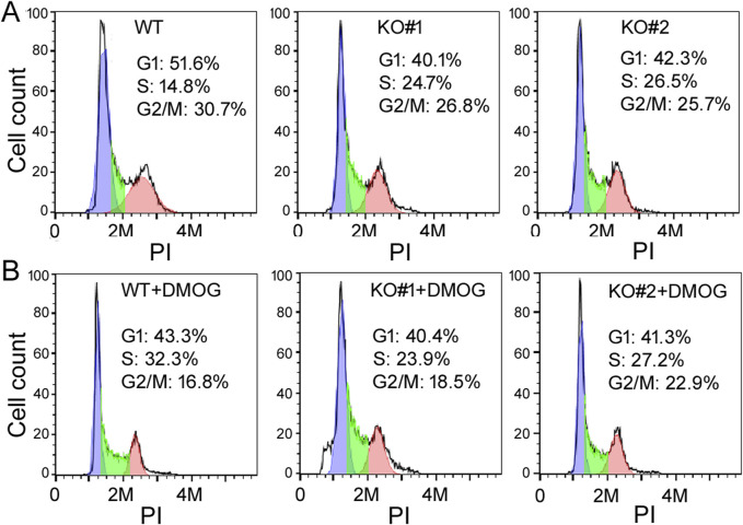 FIGURE 3