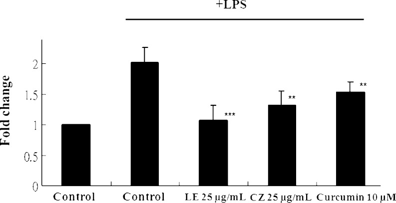 Fig. 4
