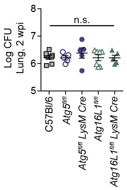 Extended Data Figure 4