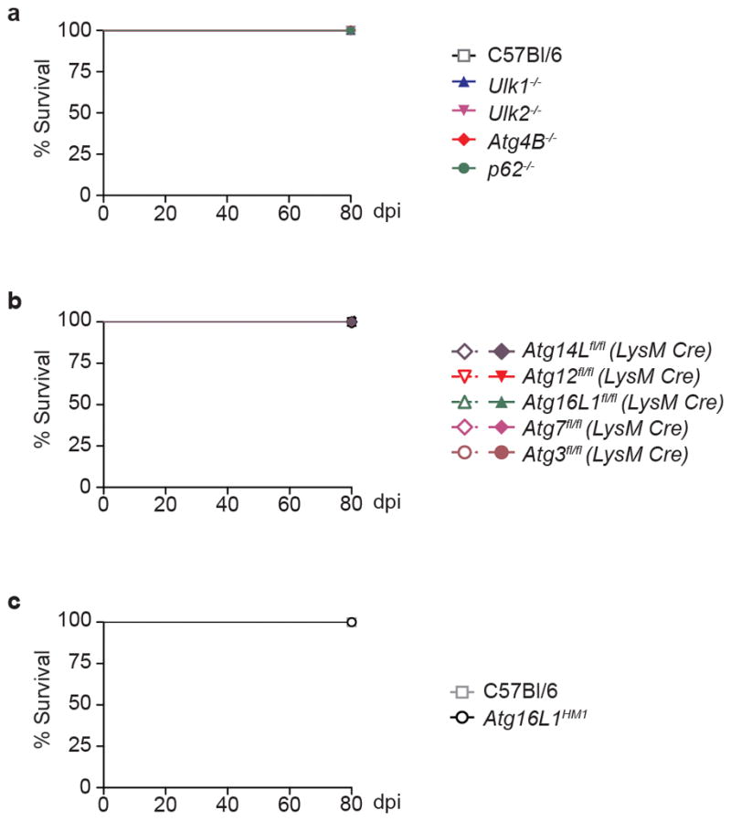 Extended Data Figure 1