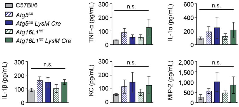 Extended Data Figure 5