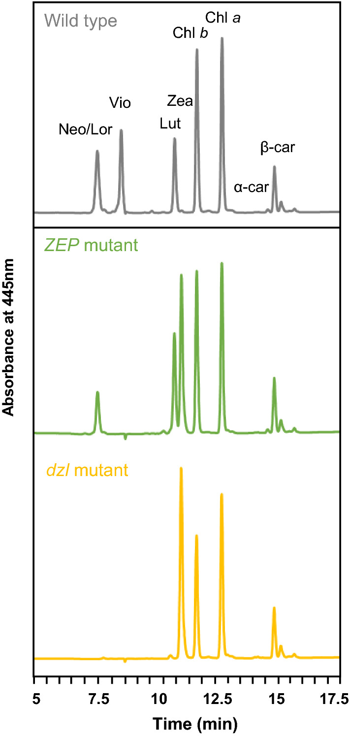 Fig. 3