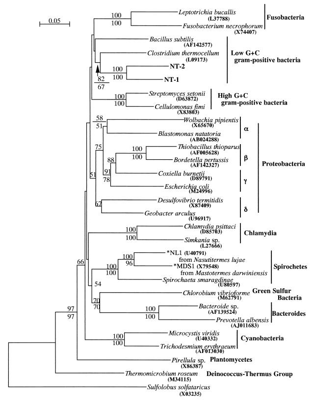 FIG. 1